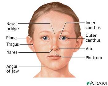 Fetal Alcohol Syndrome - My Health Website